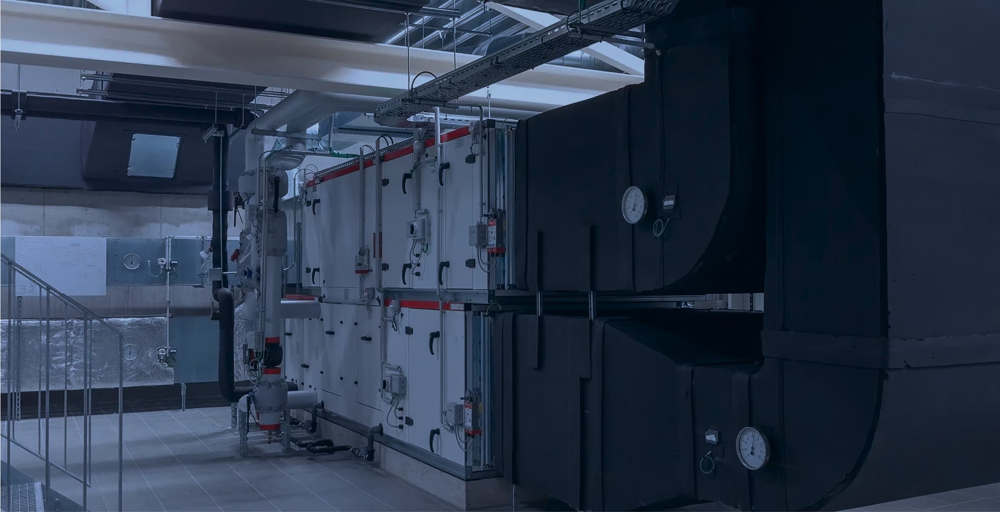 lab